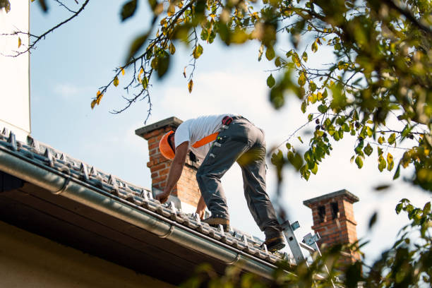 Best Flat Roof Repair Services  in Maplewood, WA