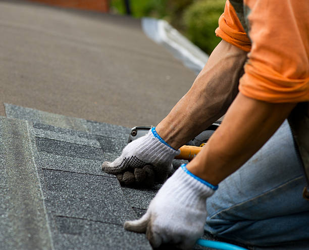 Best Storm Damage Roof Repair  in Maplewood, WA
